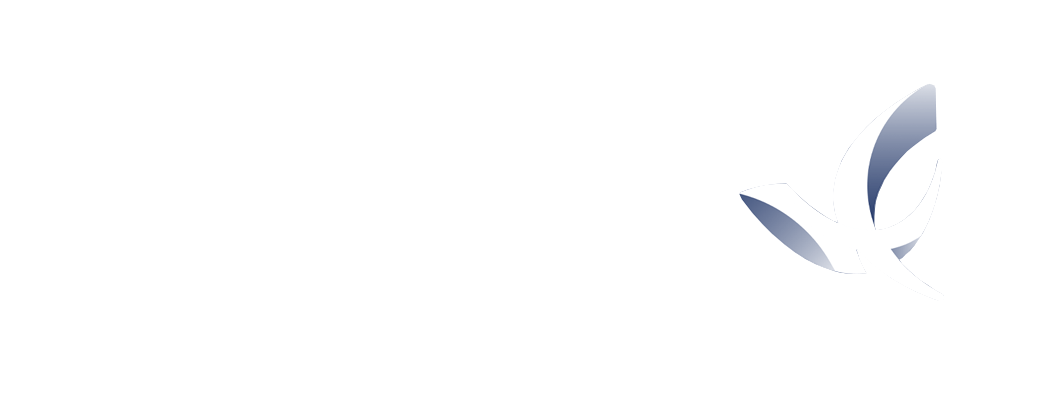 آفاق سیر